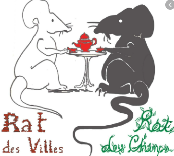 Le rat 3